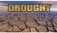 drought1234.jpg