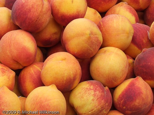 Early Riser Kiwanis Issue Statement On Annual Peach Sales