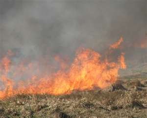 Tuesday Afternoon Grass Fire Threatens Homes On Southwest Edge of Guymon