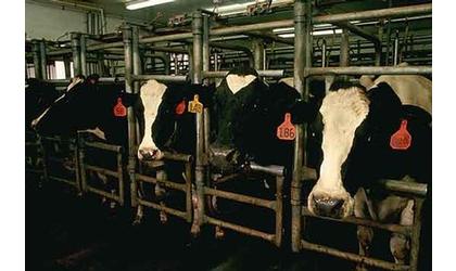 Southwest Kansas Dairy Gets Reprieve