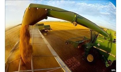 Oklahoma Wheat Harvest In Full Swing
