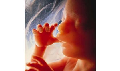 “Personhood” Bill Approved In Oklahoma Senate