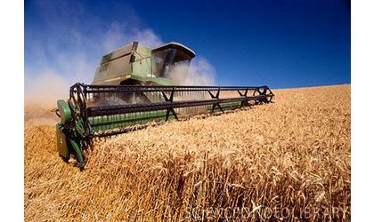 Wheat Harvest Underway In Southern Kansas