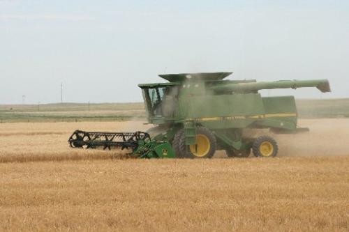 Wheat Harvest Begins in Oklahoma