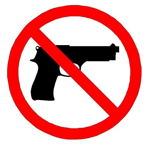Gun-Control Group Takes Aim At Kansas Gun Law
