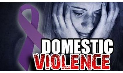 Controversy Erupts Over Domestic Violence Service Contract