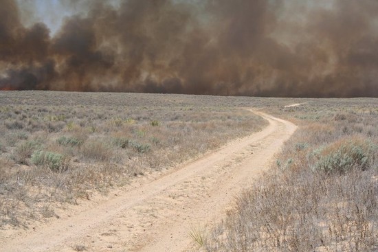 Cimarron National Grassland to Host Tunner Fire Public Meeting