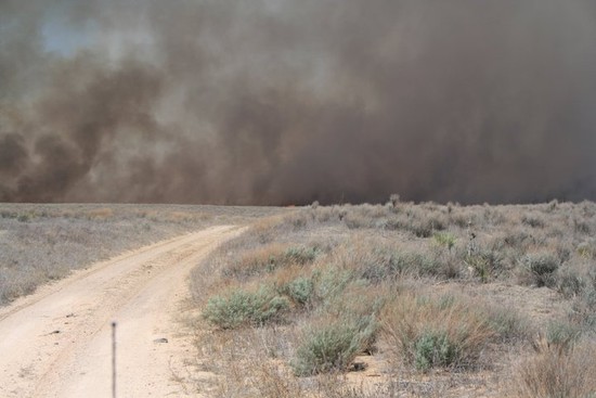 Cimarron National Grassland to Host Tunner Fire Public Meeting