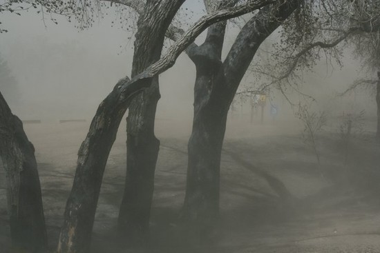 Cimarron National Grassland to Host Tunner Fire Public Meeting