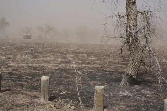 Cimarron National Grassland to Host Tunner Fire Public Meeting