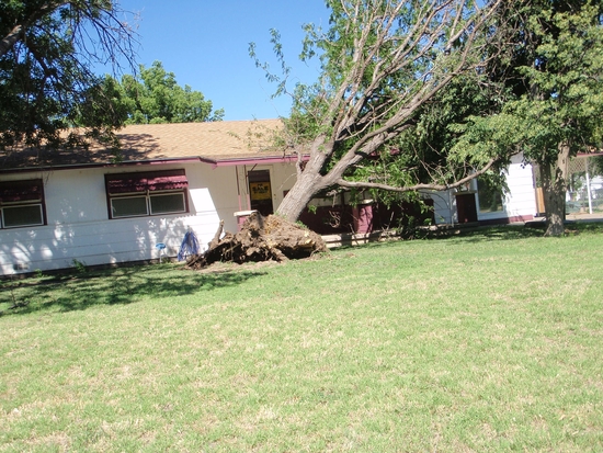 Wednesday Storm Packed a Punch