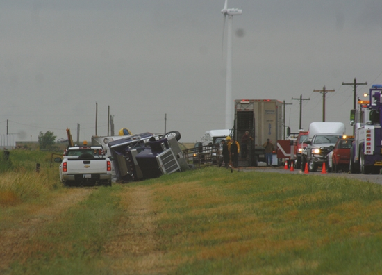 Loaded Cattle Truck Overturns