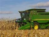 Farmers Getting Jump On Corn Harvest