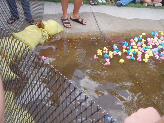 Colvin Wins Top Prize At Chambers 2010 Duck Race