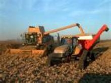 Weather Aids Fall Harvest