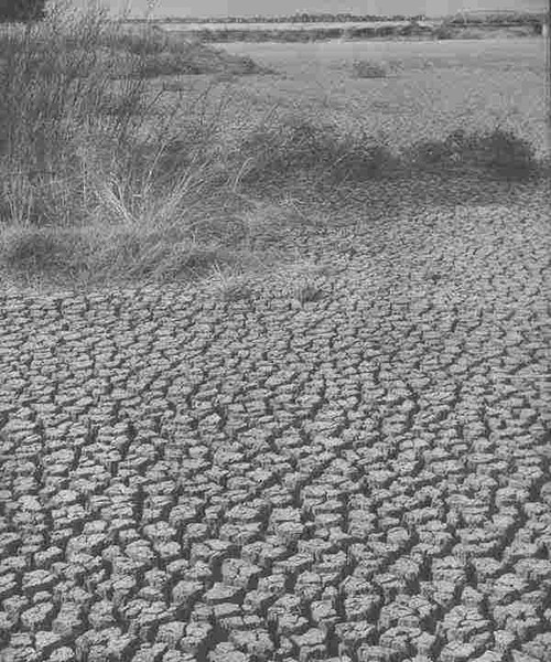 Oklahoma Driest Since Dust Bowl Era