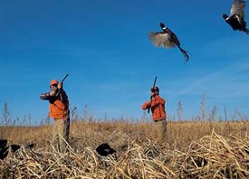Kansas Governor To Host Pheasant Hunt