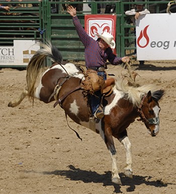 Pioneer Days Highlights Weekend in Guymon