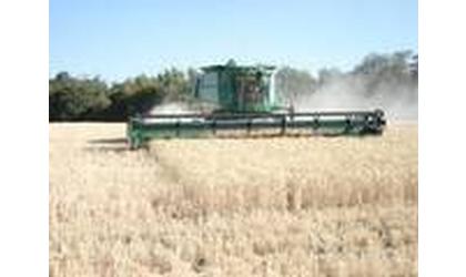 Kansas Harvest 20 Percent Complete