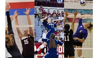 Former SC Volleyball Players Make Splash at Next Level