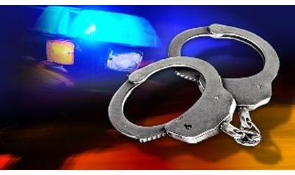 Traffic Stop in Sublette Results in Arrests