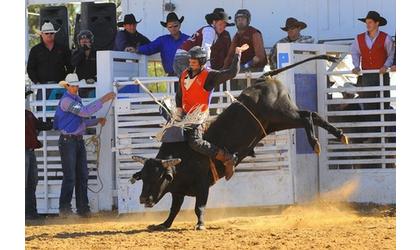 Panhandle State Rodeo Leads Standings