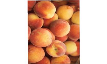 Early Riser Kiwanis to Offer Cling Free Peaches