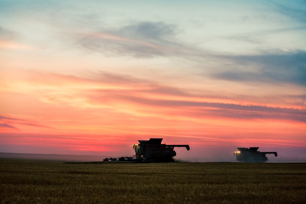 Winter Wheat Harvest Picking Up