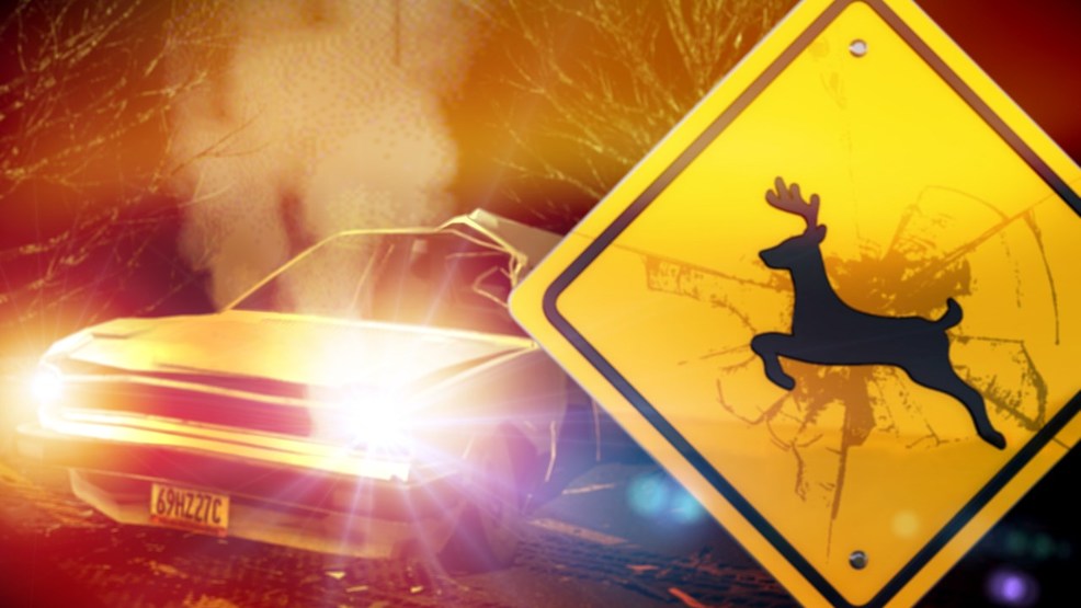 Plains Woman Killed in Deer/Car Crash