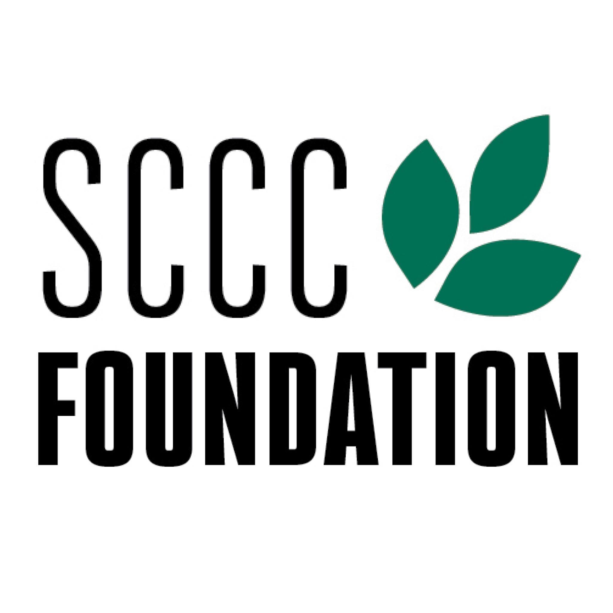 SCCC Foundation Party Auction This Saturday