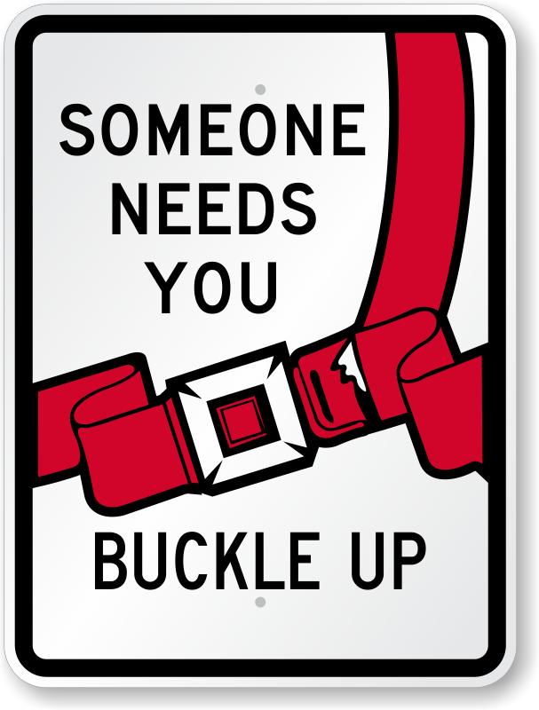 Someone Needs You, Buckle Up