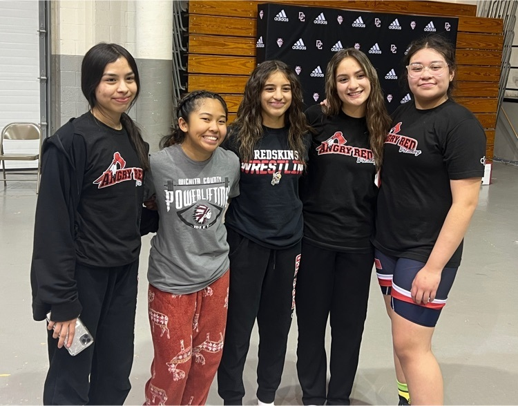 Five LHS Girls Wrestle to State
