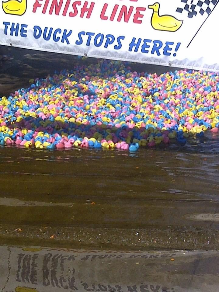 22nd Annual Duck Race in the Books