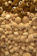 FSBC Sets Out to Build World’s Largest Teddy Bear Tower