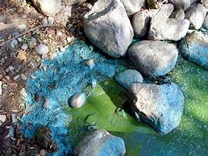 Public Health Advisories for Kansas Lakes Due to Blue-Green Algae, a Grant County Lake Included