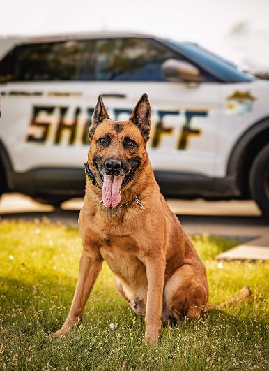 Seward County Sheriff’s Office Receives Protection 4 Paws Grant