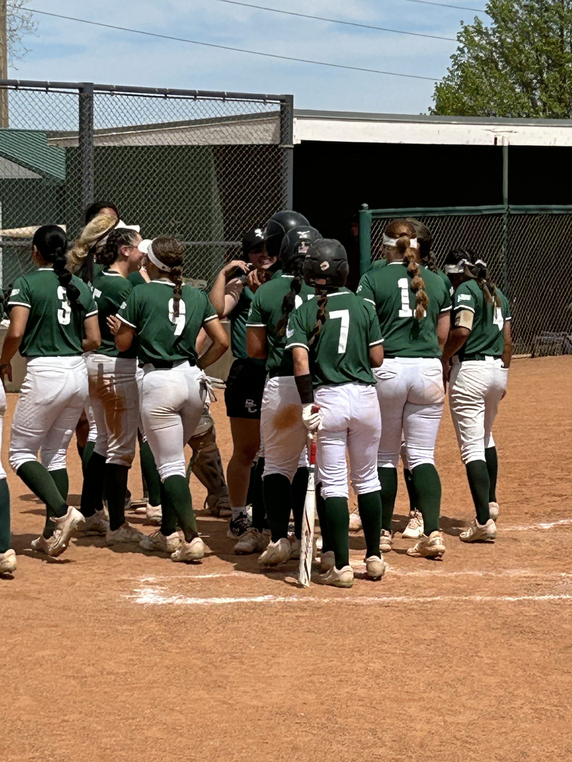 Seward Softball Sneaks Sweep Past Pratt